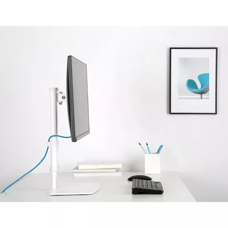 Techly ICA-LCD 260 monitor stovas 68.6 cm (27 col.) stalas Baltas