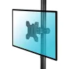 Techly ICALCD100BK stalo laikiklis monitoriui juodas
