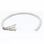 Intellinet Network Bulk Cat6 kabelis, 23 AWG, viengyslė varinė viela, 305 m, pilkas, CCA, U/UTP, dėžė