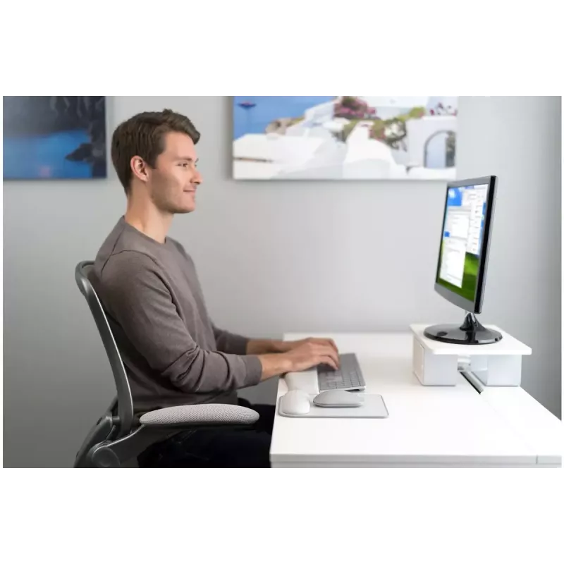 Kensington ErgoSoft pelėdos kilimėlis su riešo atrama standartinei pelei (K50437EU)
