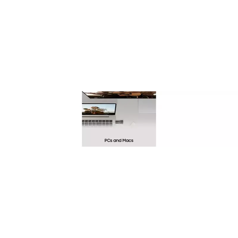 Samsung MUF-64BE USB atmintukas 64 GB USB Type-A 3.2 Gen 1 (3.1 Gen 1) Pilka