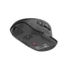 NATEC Falcon Office dešinei rankai Bluetooth pelė