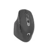 NATEC Falcon Office dešinei rankai Bluetooth pelė