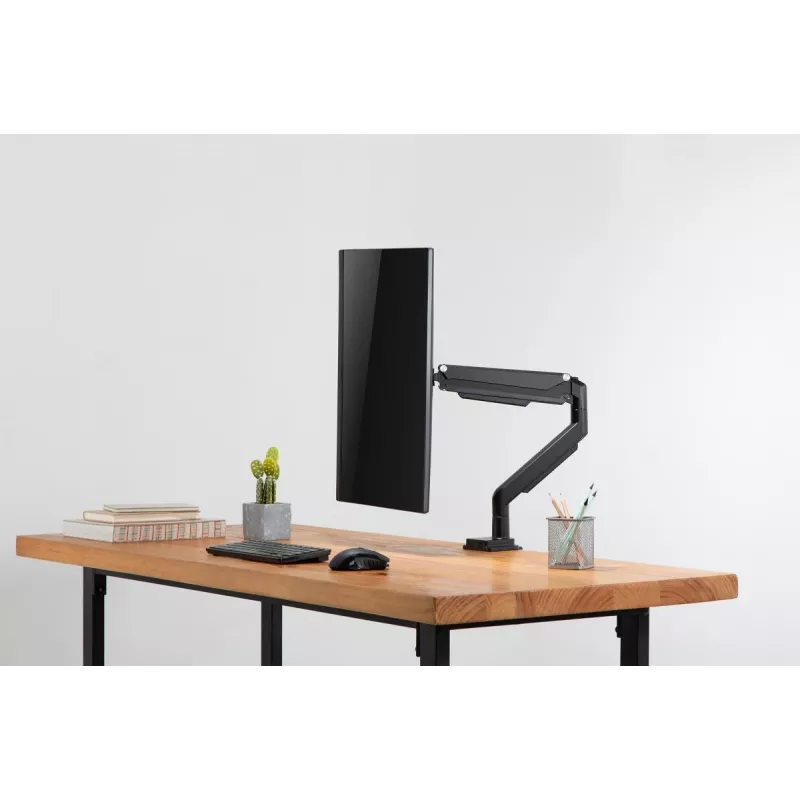 DIGITUS Universalus monitoriaus laikiklis su dujine spyruokle ir spaustuku 17-32 col. 9 kg