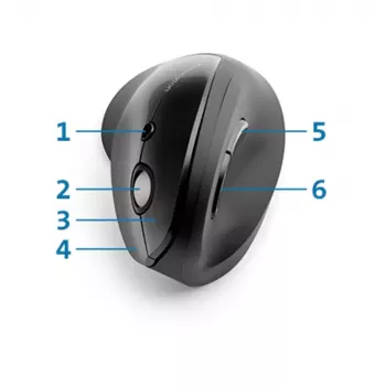 Pelė Kensington Pro Fit Ergo Vertical Wireless RF Wireless