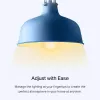TP-Link Tapo L510E išmanioji LED lemputė, reguliuojamas ryškumas, E27