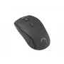 Belaidė optinė pelė NATEC Jay 2 RF — 2,4 GHz, 1600 DPI, ambidekstrinė, 4 mygtukai, juoda
