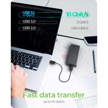ICY BOX IB-1817MC-C31 pilkas M.2 SSD korpusas