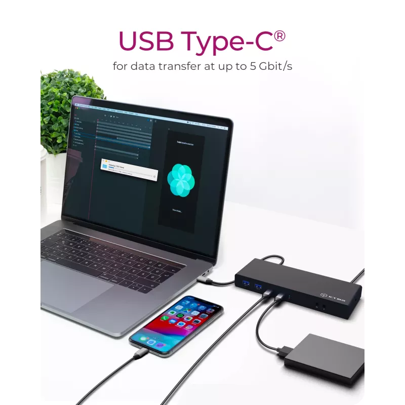 ICY BOX IB-DK2245AC USB 3.2 Gen 1 (3.1 Gen 1) Type-C dokavimo stotelė, juoda