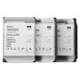 SYNOLOGY HAS5300-12T 12TB SAS 12Gb/s 3,5 colio 7200 aps./min. kietasis diskas