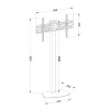 Grindinis TV stovas TECHLY ICA-TR27 32–55 colių (81.3–139.7 cm), VESA 100x100–600x400, pakreipimas -15–0°, maks. apkrova 40 kg, juodas