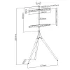 Grindinis TV stovas TECHLY ICA-TR18SAM 45–65 colių (114,3–165,1 cm), VESA 200x200–600x400, talpa 32 kg, riešutas