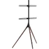 Grindinis TV stovas TECHLY ICA-TR18SAM 45–65 colių (114,3–165,1 cm), VESA 200x200–600x400, talpa 32 kg, riešutas