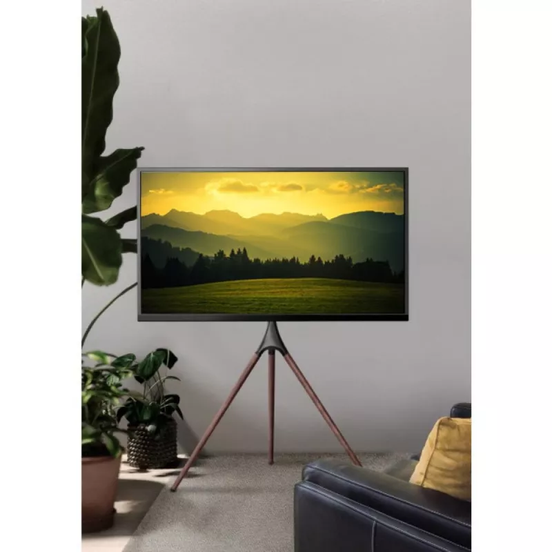 Grindinis TV stovas TECHLY ICA-TR18SAM 45–65 colių (114,3–165,1 cm), VESA 200x200–600x400, talpa 32 kg, riešutas