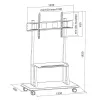 Porterinis grindinis stovas TECHLY Signage Display Mount ICA-TR31, 55–120 colių ekranams, VESA 1200x600, max apkrova 150 kg, juodas