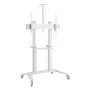 Mobilus multimedijos stovas TECHLY ICA-TR49W baltas