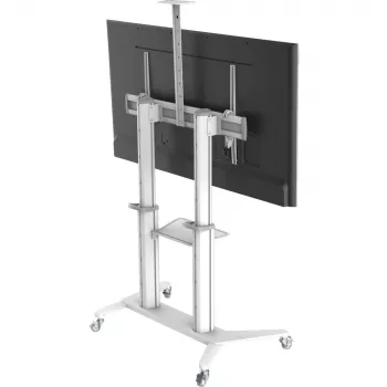 Mobilus multimedijos stovas TECHLY ICA-TR49W baltas