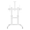 Mobilus multimedijos stovas TECHLY ICA-TR49W baltas