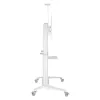 Mobilus multimedijos stovas TECHLY ICA-TR49W baltas