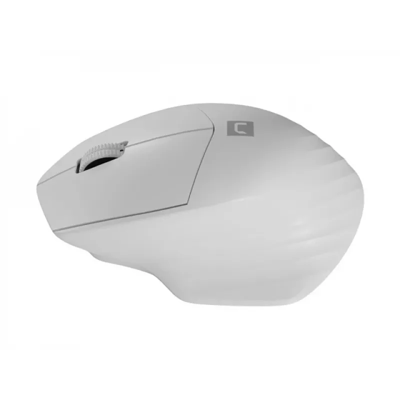 Belaidė Bluetooth optinė pelė NATEC Siskin 2 — 1600 DPI, Bluetooth 5.0, dešinei rankai, balta