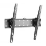 TV laikiklis Gembird WM-55T-02 32–55 col., pakreipimas -12°–12°, VESA 200x200–400x400, 40 kg, juodas