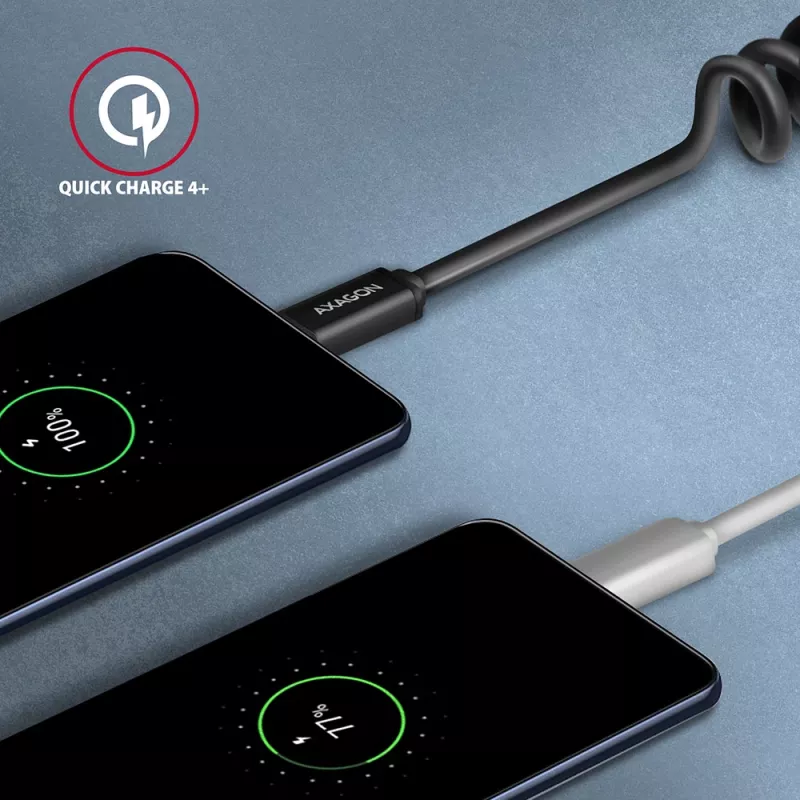 USB-C laidas Axagon BUCM-CM20TB 1,1 m PD 60W 3A juodas