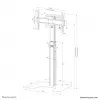 Neomounts FL45S-825BL1 TV grindinis stovas 37-75 col.