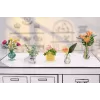 Miniverse - Make It Mini Botanicals, 8 m., Įvairiaspalvis, Plastikas
