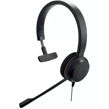 Jabra Evolve 20 ausinės su mikrofonu laidinės, USB Type-C / USB Type-A, juodos
