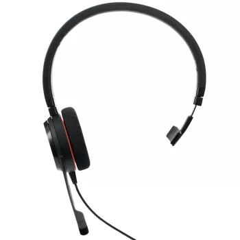 Jabra Evolve 20 ausinės su mikrofonu laidinės, USB Type-C / USB Type-A, juodos
