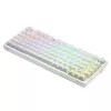 Žaidimų klaviatūra Savio Phenix WHITE GAT YELLOW USB Bluetooth QWERTY