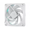 FRACTAL DESIGN Ventiliatorius Momentum 14 RGB Baltas