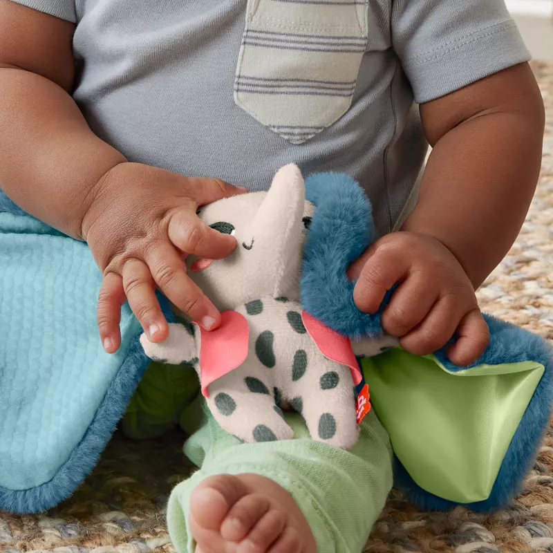 Minkštas žaislas MATTEL Fisher-Price Planet Friends Giant Ear Elephant HKD63, pliušinis drambliukas draugas