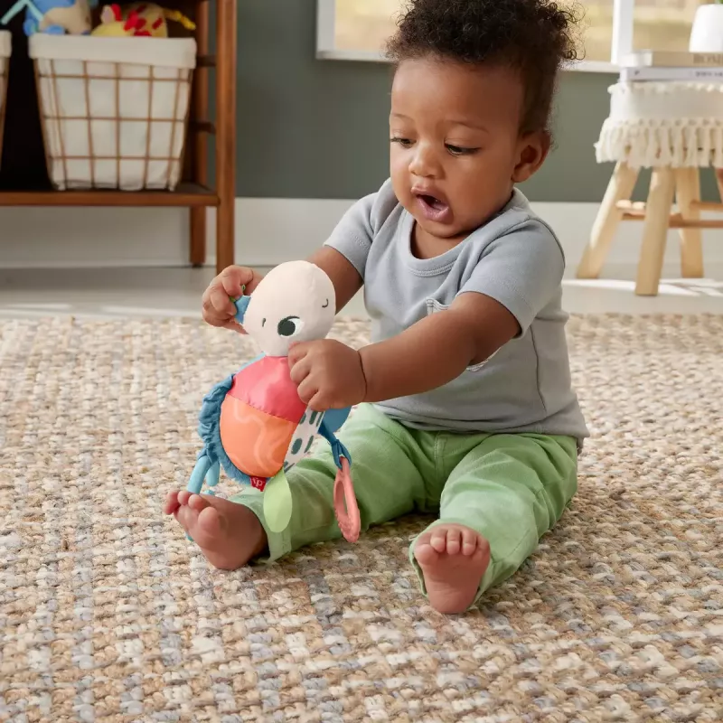 Žaislas Fisher-Price Planet Friends Sea Me Bounce Turtle vėžlys, rekomenduojamas nuo 0 iki 2 metų