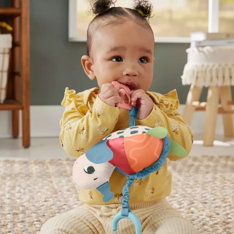 Žaislas Fisher-Price Planet Friends Sea Me Bounce Turtle vėžlys, rekomenduojamas nuo 0 iki 2 metų