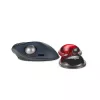 Kensington Slim Duo Gel riešo atrama pelėms/trackballams - raudona
