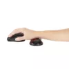 Kensington Slim Duo Gel riešo atrama pelėms/trackballams - raudona
