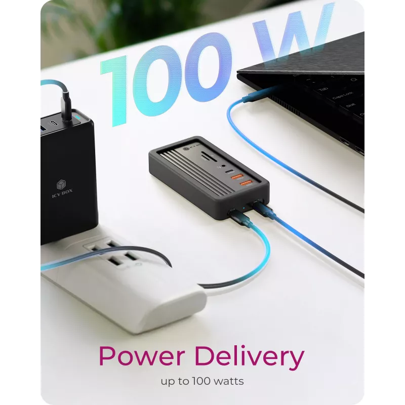 ICY BOX IB-DK4072M-CU31 USB 3.2 Gen 2 (3.1 Gen 1) Type-C juodas
