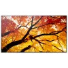 Sharp MultiSync M552 skaitmeninių ženklų plokščiasis skydelis 139,7 cm (55 colių) LCD 550 cd/m² 4K Ultra HD juodas su jutikliniu ekranu