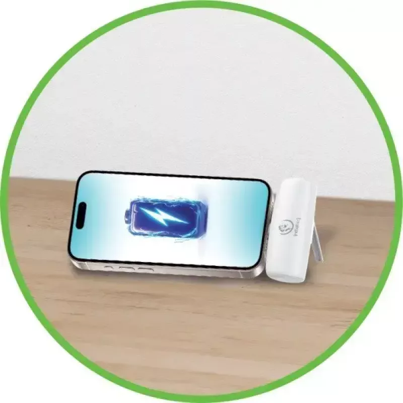 Nešiojamas maitinimo bankas Rebeltec P5 PLUG-IN 5000mAh