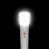 Rankinis žibintuvėlis Hama FL250 LED 3W aliuminis sidabrinis