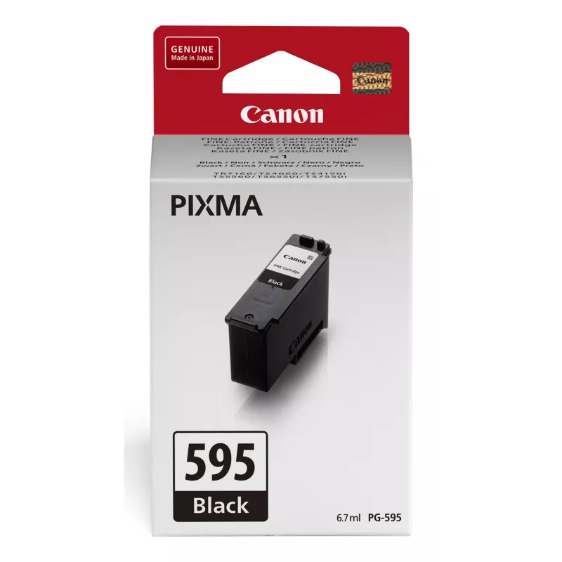 Originalus Canon PG-595 rašalo kasetė juoda 1 vnt.