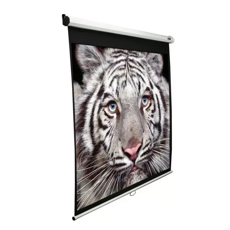 Projekcinis ekranas Elite Screens M99NWS1