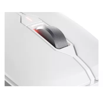 Bevielis klaviatūros ir pelės rinkinys CHERRY STREAM DESKTOP COMFORT, pilno dydžio, QWERTZ