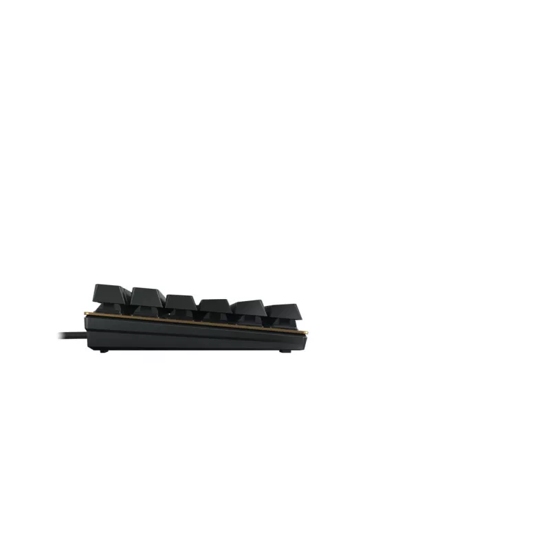 CHERRY KC 200 MX klaviatūra mechaninė USB QWERTZ vokiška Juoda, Bronzinė