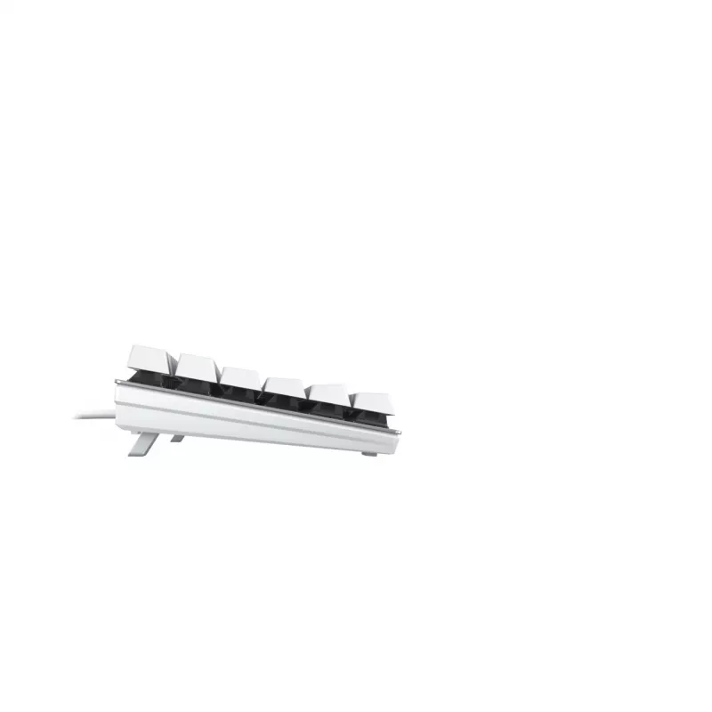 Klaviatūra CHERRY KC 200 MX Universal USB QWERTZ Vokiška Sidabrinė Balta Mechaninė 109 klavišų