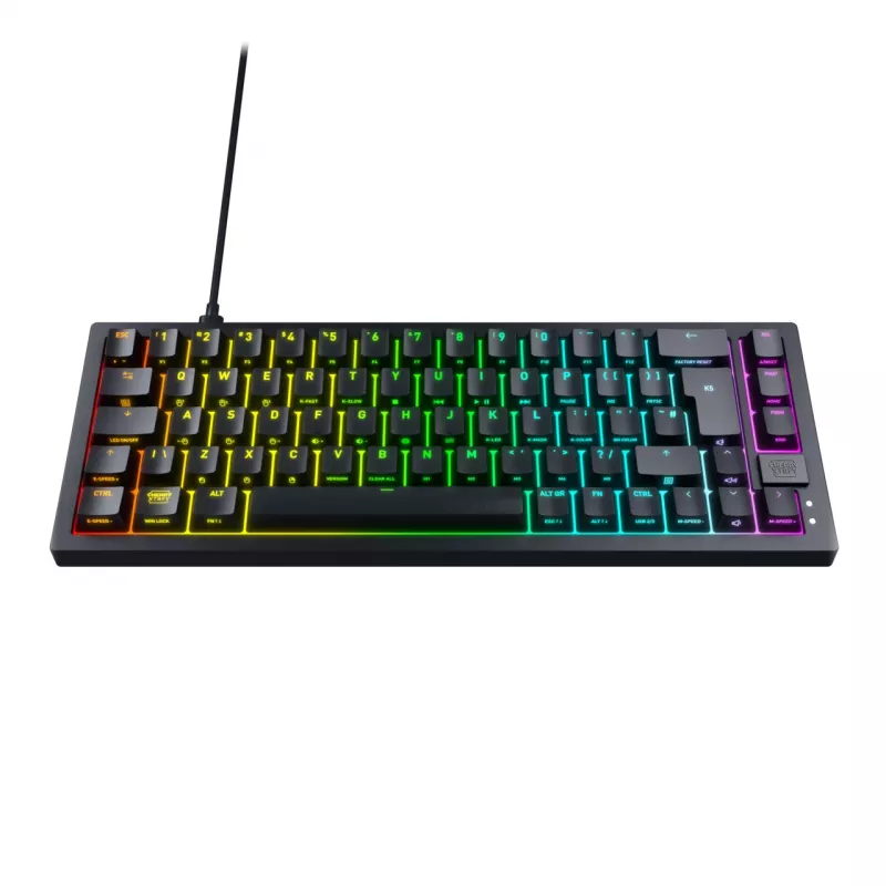 CHERRY K5V2 Kompaktiška žaidimų klaviatūra USB QWERTZ Vokiška 68 klavišų RGB LED