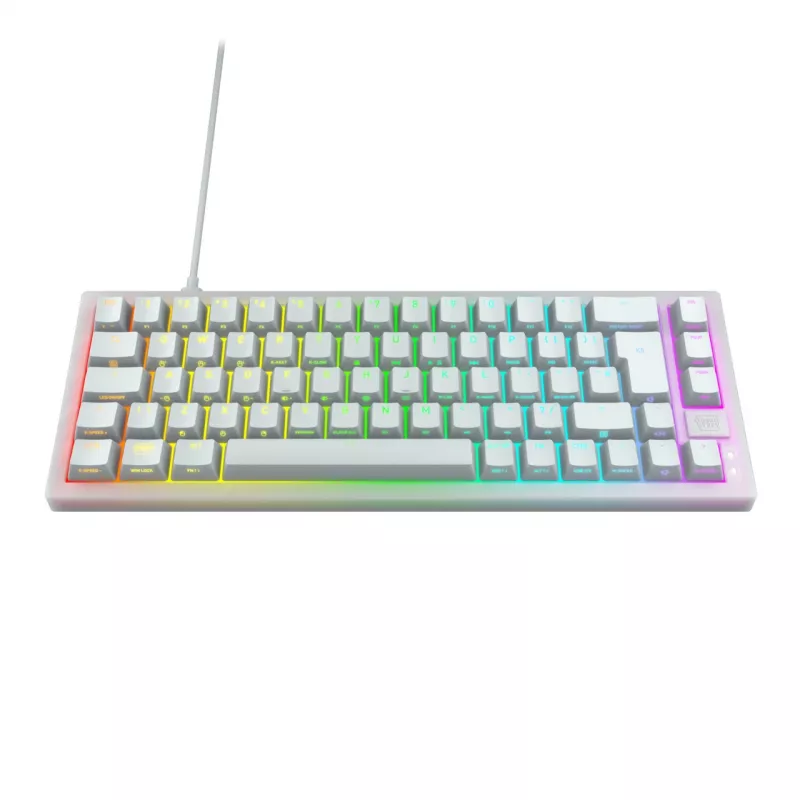 CHERRY K5V2 kompaktiška žaidimų klaviatūra USB QWERTZ vokiška balta 68 klavišų RGB LED