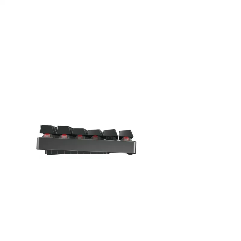 CHERRY MX 8.2 TKL belaidė RGB klaviatūra RF Wireless + Bluetooth QWERTZ vokiška juoda