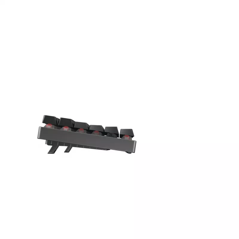 CHERRY MX 8.2 TKL belaidė RGB klaviatūra RF Wireless + Bluetooth QWERTZ vokiška juoda